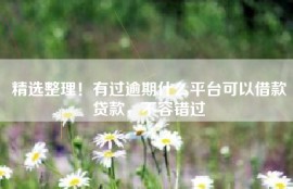 精选整理！有过逾期什么平台可以借款贷款，不容错过