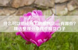 什么可以借钱马上到账网贷app有哪些？精选整理分享几个网贷口子