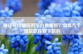 现在可以借钱的平台有哪些？盘点几个借款软件好下款的