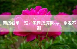 网贷名单一览，黑网贷贷款app，拿走不谢