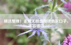 精选整理！走投无路急用钱借款口子，不容错过