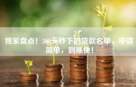 独家盘点！500元秒下的贷款名单，申请简单，到账快！