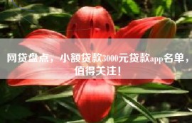 网贷盘点，小额贷款3000元贷款app名单，值得关注！