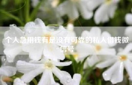 个人急用钱有是没有可靠的私人借钱微信号