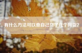 有什么方法可以查自己贷了几个网贷？