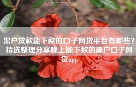 黑户贷款能下款的口子网贷平台有哪些？精选整理分享晚上能下款的黑户口子网贷app