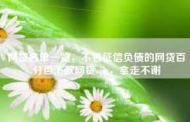 网贷名单一览，不看征信负债的网贷百分百下款网贷app，拿走不谢