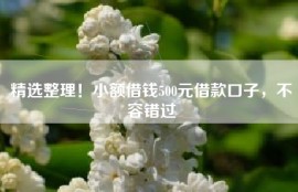 精选整理！小额借钱500元借款口子，不容错过