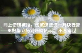 网上借钱被拒，试试这些借一万块钱哪里好借立马到账网贷app，不容错过