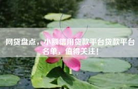 网贷盘点，小额信用贷款平台贷款平台名单，值得关注！