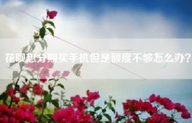 花呗想分期买手机但是额度不够怎么办？