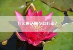 什么是活期存款利率？