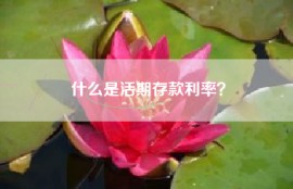 什么是活期存款利率？