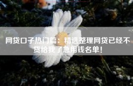 网贷口子热门篇：精选整理网贷已经不贷给我了急用钱名单！