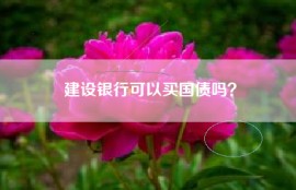 建设银行可以买国债吗？