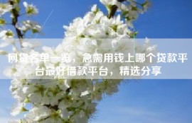 网贷名单一览，急需用钱上哪个贷款平台最好借款平台，精选分享