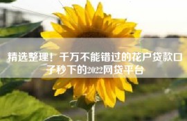 精选整理！千万不能错过的花户贷款口子秒下的2022网贷平台
