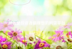什么是投资者最理想的网贷平台