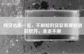网贷名单一览，不刷脸的贷款有哪些借款软件，拿走不谢