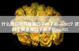什么借款软件是黑口子必下款app2022？这几个就是黑口子必下款app2022