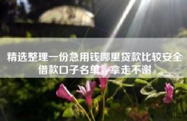 精选整理一份急用钱哪里贷款比较安全借款口子名单，拿走不谢