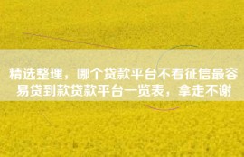 精选整理，哪个贷款平台不看征信最容易贷到款贷款平台一览表，拿走不谢