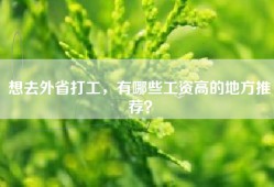 想去外省打工，有哪些工资高的地方推荐？