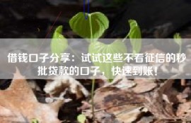 借钱口子分享：试试这些不看征信的秒批贷款的口子，快速到账！