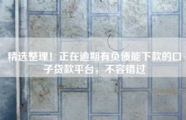 精选整理！正在逾期有负债能下款的口子贷款平台，不容错过