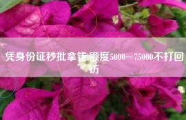 凭身份证秒批拿钱,额度5000~75000不打回访