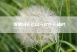 微博借钱可以一次性还清吗