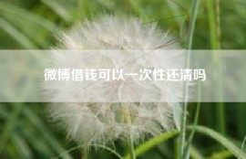 微博借钱可以一次性还清吗