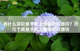有什么贷款是手机上哪里可以借钱？这几个就是手机上哪里可以借钱
