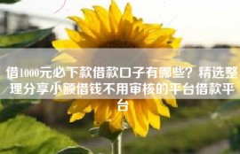 借1000元必下款借款口子有哪些？精选整理分享小额借钱不用审核的平台借款平台