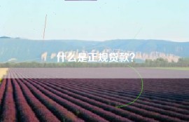什么是正规贷款？