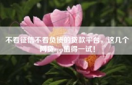 不看征信不看负债的贷款平台，这几个网贷app值得一试！