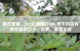 精选整理，2022无视黑白100%秒下网贷有哪些借款口子一览表，拿走不谢