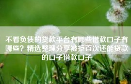 不看负债的贷款平台有哪些借款口子有哪些？精选整理分享被拒百次还能贷款的口子借款口子