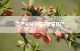 怎样成为微粒贷受邀客户?