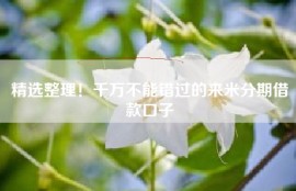 精选整理！千万不能错过的来米分期借款口子