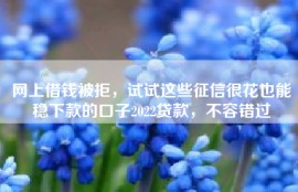 网上借钱被拒，试试这些征信很花也能稳下款的口子2022贷款，不容错过