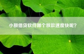 小额借贷软件哪个放款速度快呢？