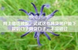 网上借钱被拒，试试这些网贷黑户能下款的口子网贷口子，不容错过