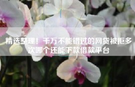 精选整理！千万不能错过的网贷被拒多次哪个还能下款借款平台