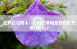 在蚂蚁花呗中，分期还款和最低还款有哪些区别？