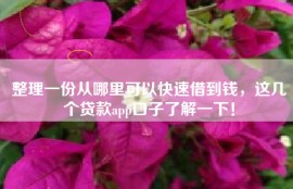 整理一份从哪里可以快速借到钱，这几个贷款app口子了解一下！