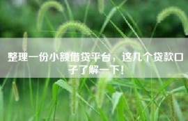 整理一份小额借贷平台，这几个贷款口子了解一下！