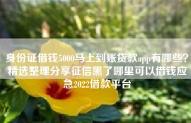 身份证借钱5000马上到账贷款app有哪些？精选整理分享征信黑了哪里可以借钱应急2022借款平台