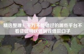 精选整理！千万不能错过的哪些平台不看征信可以借到钱借款口子