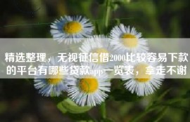精选整理，无视征信借2000比较容易下款的平台有哪些贷款app一览表，拿走不谢